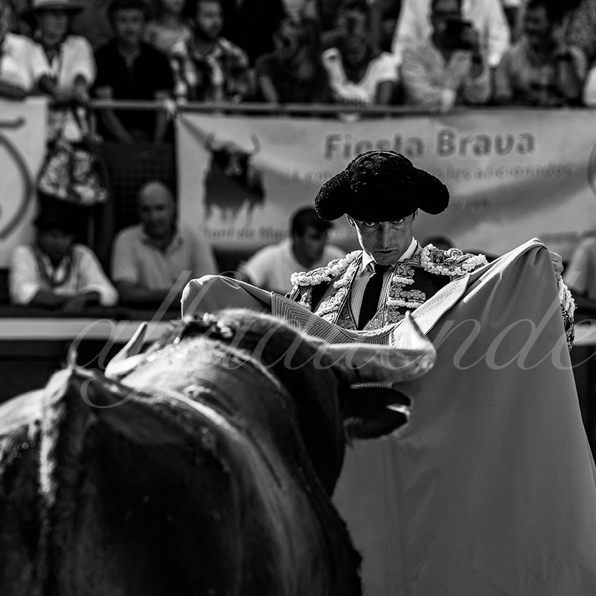 20220724 mont de marsan 019