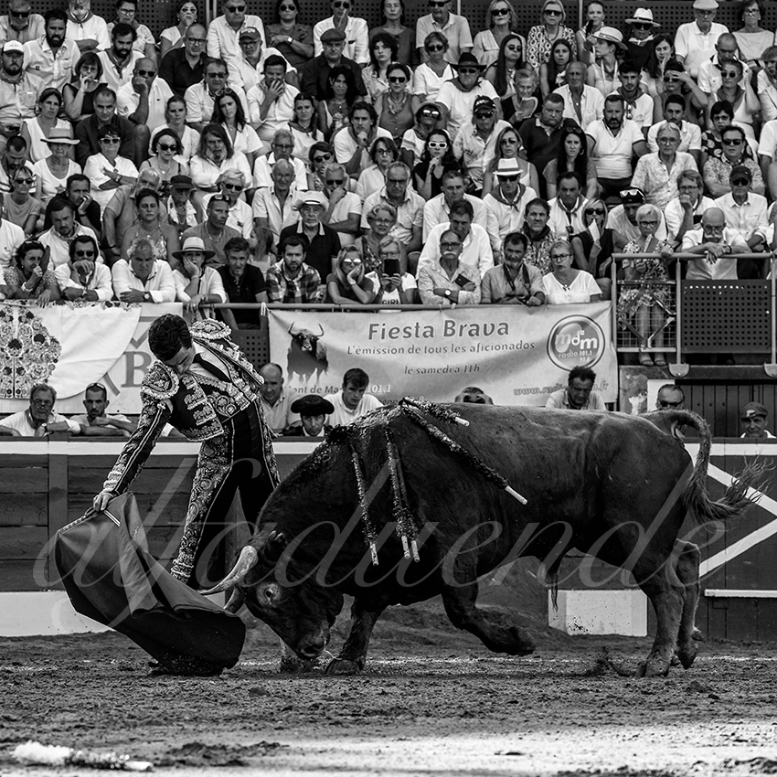 20220724 mont de marsan 020