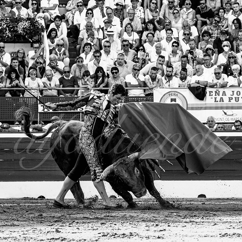 20220724 mont de marsan 021