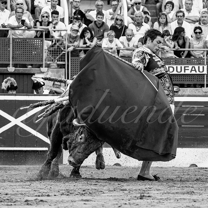 20220724 mont de marsan 022