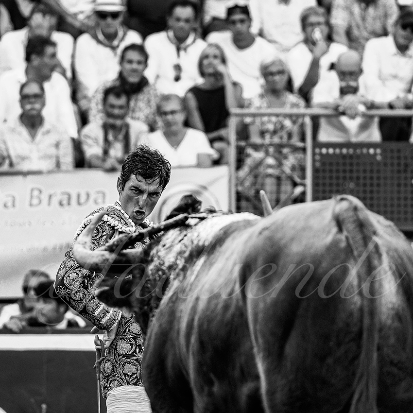 20220724 mont de marsan 023