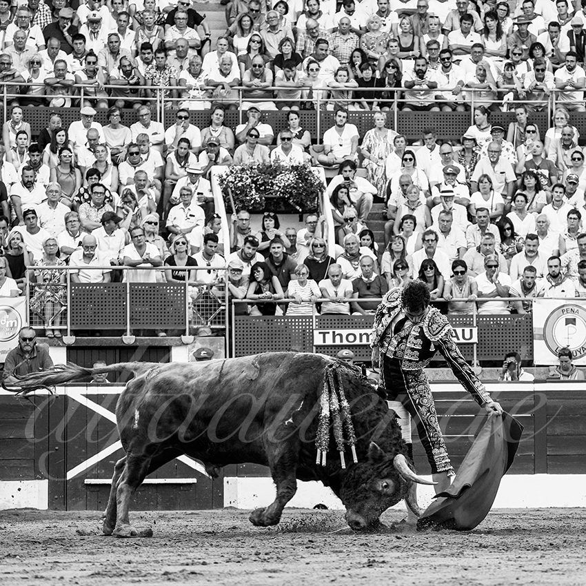 20220724 mont de marsan 024