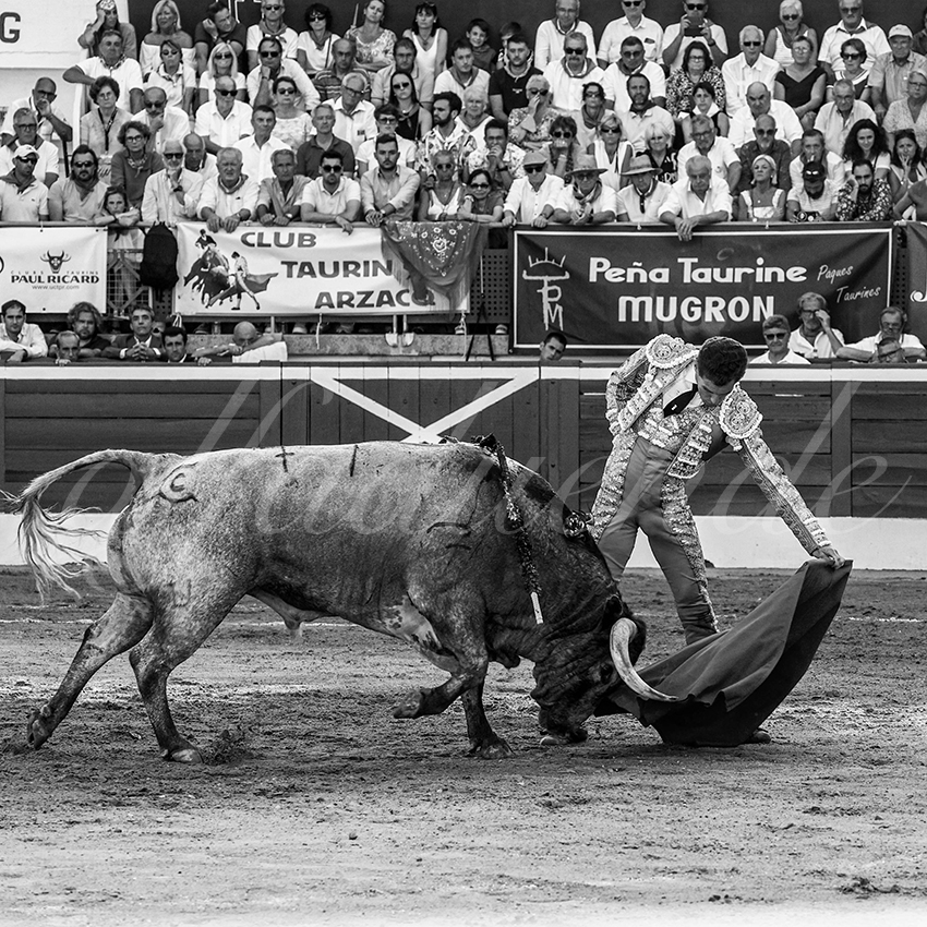 20220723 mont de marsan 016