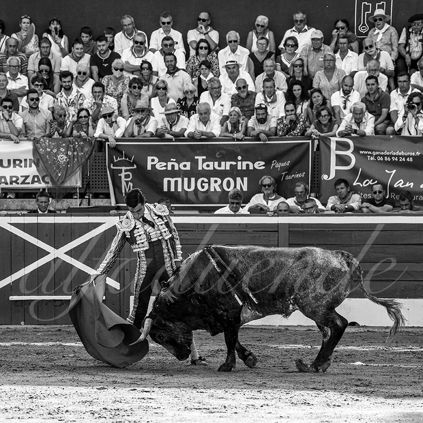 20220723 mont de marsan 021