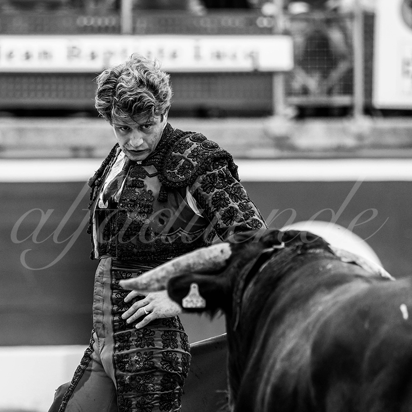 20210725 manana mt de marsan alfaduende 001