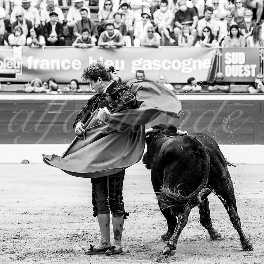 20210725 manana mt de marsan alfaduende 002