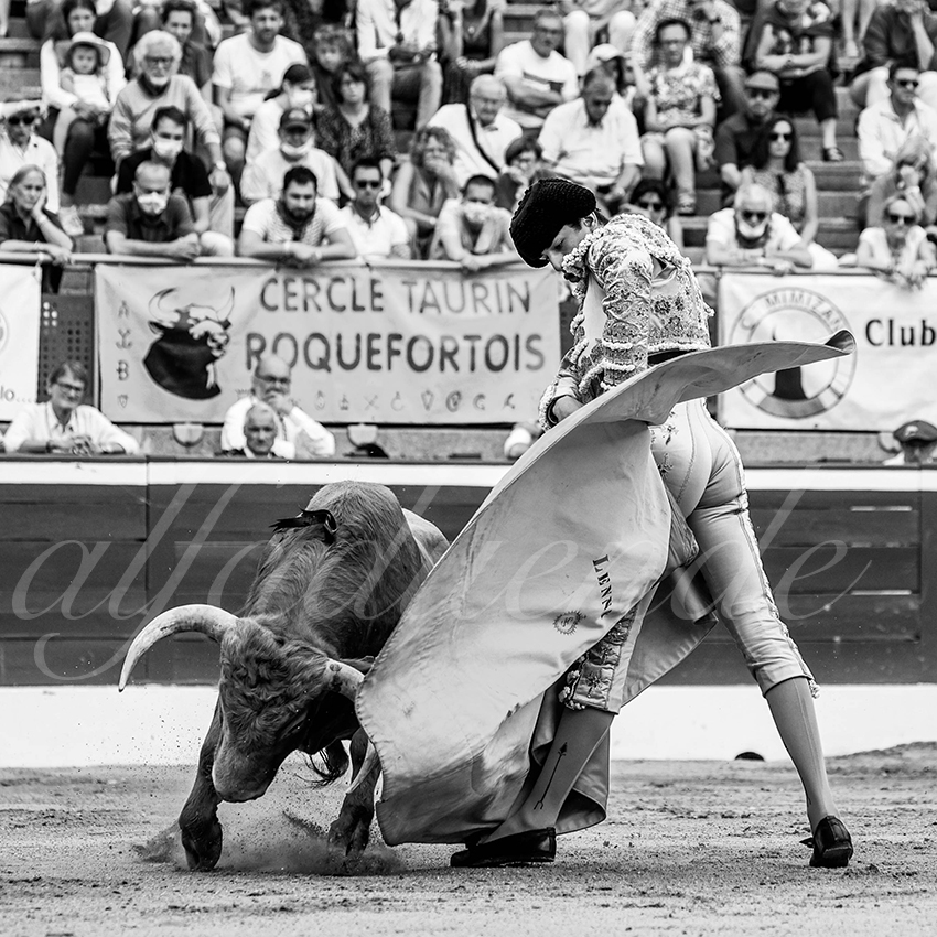 20210725 manana mt de marsan alfaduende 003