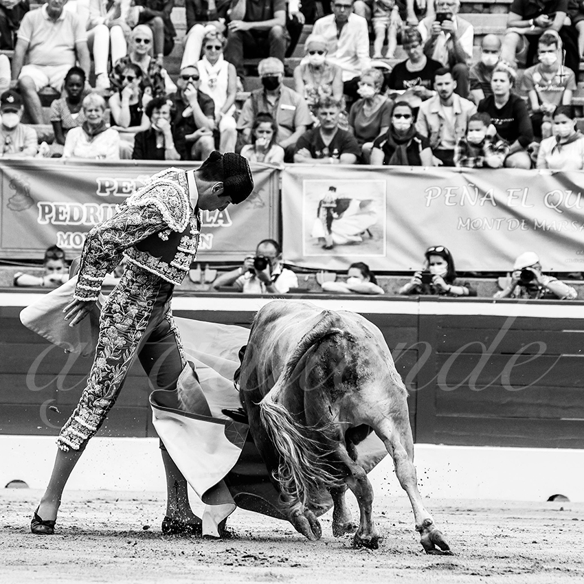 20210725 manana mt de marsan alfaduende 004