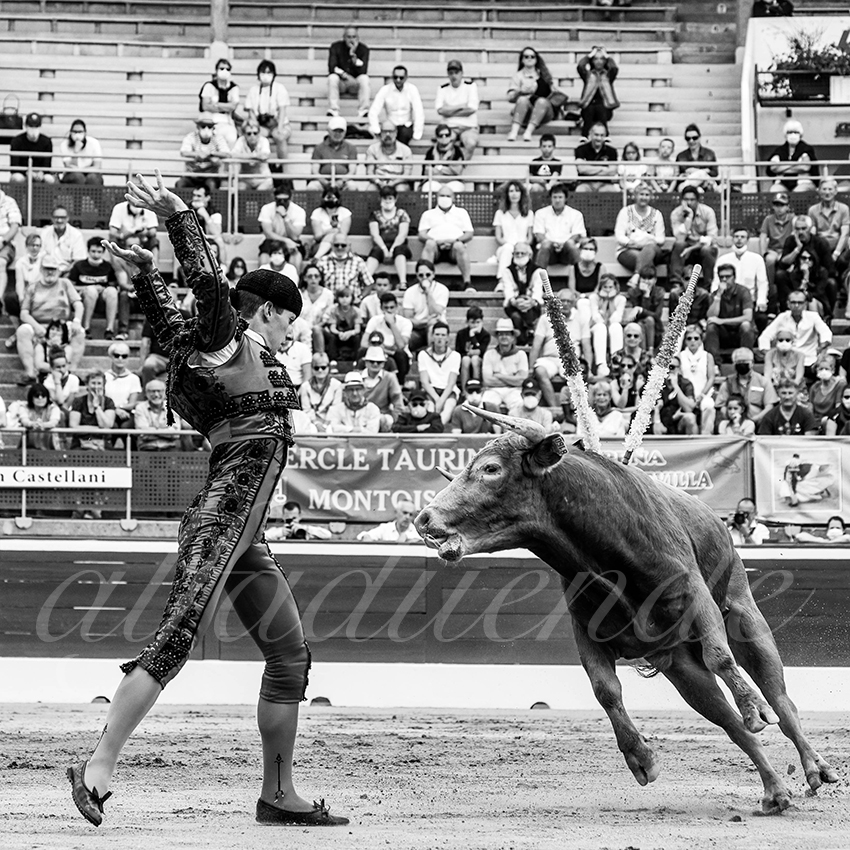 20210725 manana mt de marsan alfaduende 005