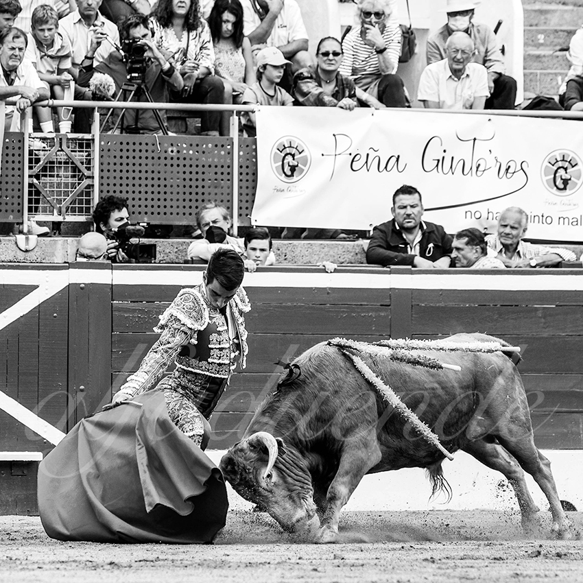 20210725 manana mt de marsan alfaduende 006