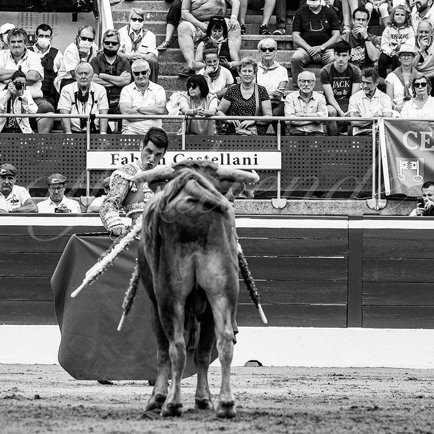 20210725 manana mt de marsan alfaduende 007