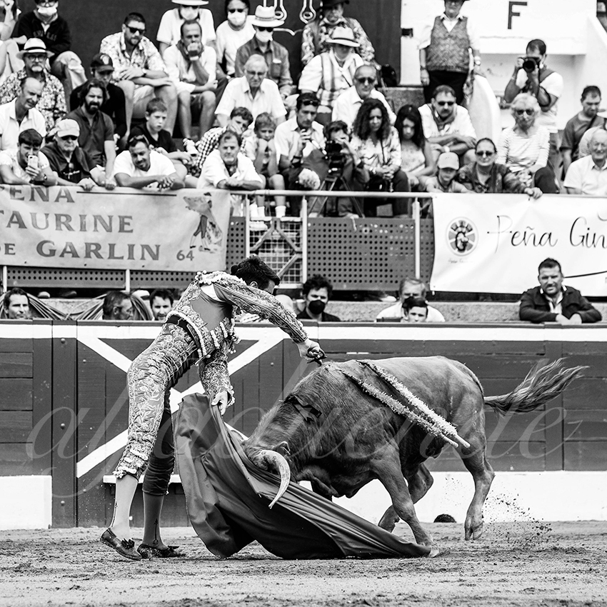 20210725 manana mt de marsan alfaduende 009