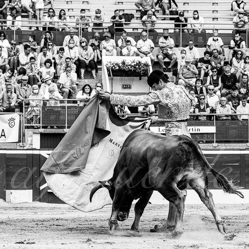 20210725 manana mt de marsan alfaduende 011