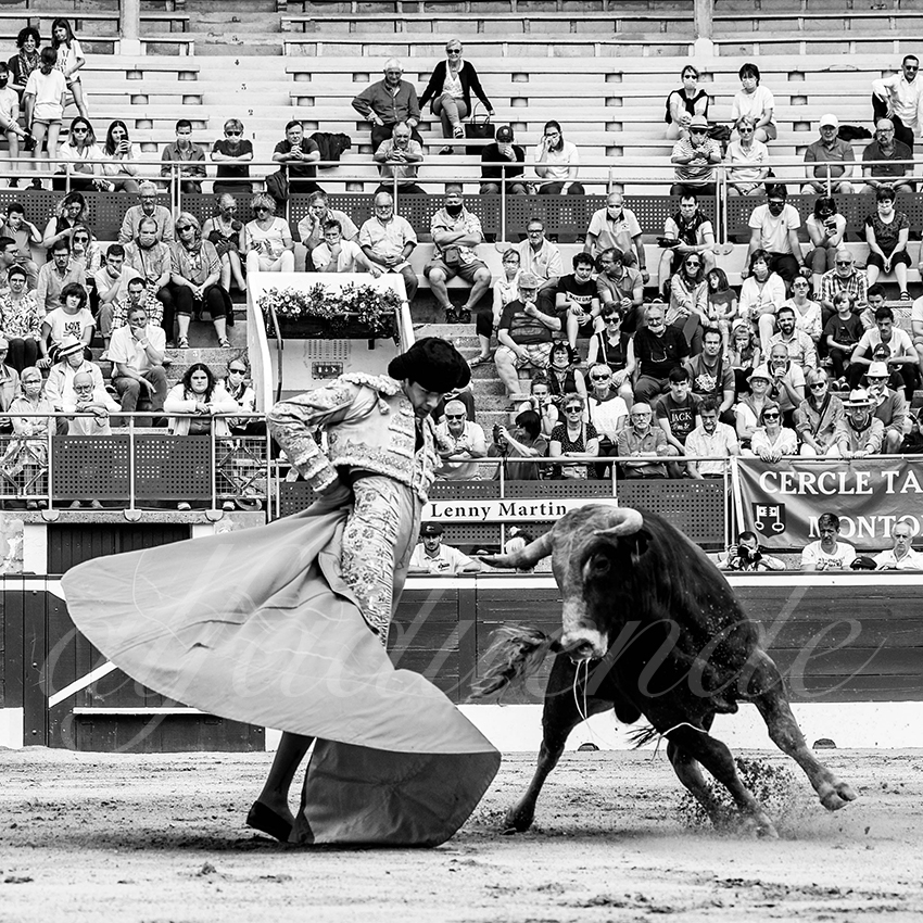 20210725 manana mt de marsan alfaduende 012