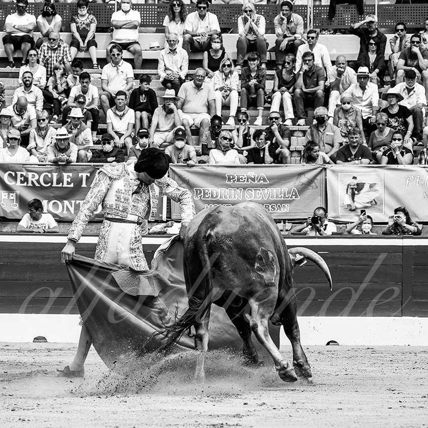 20210725 manana mt de marsan alfaduende 013