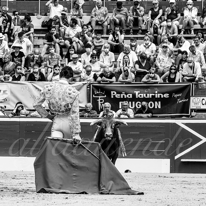 20210725 manana mt de marsan alfaduende 014