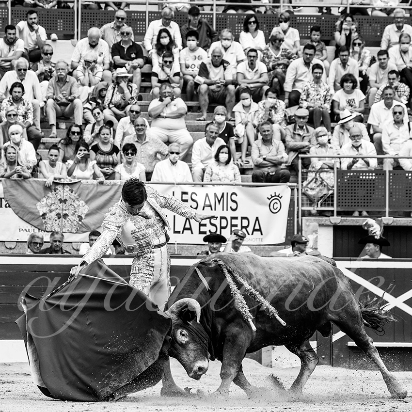 20210725 manana mt de marsan alfaduende 015