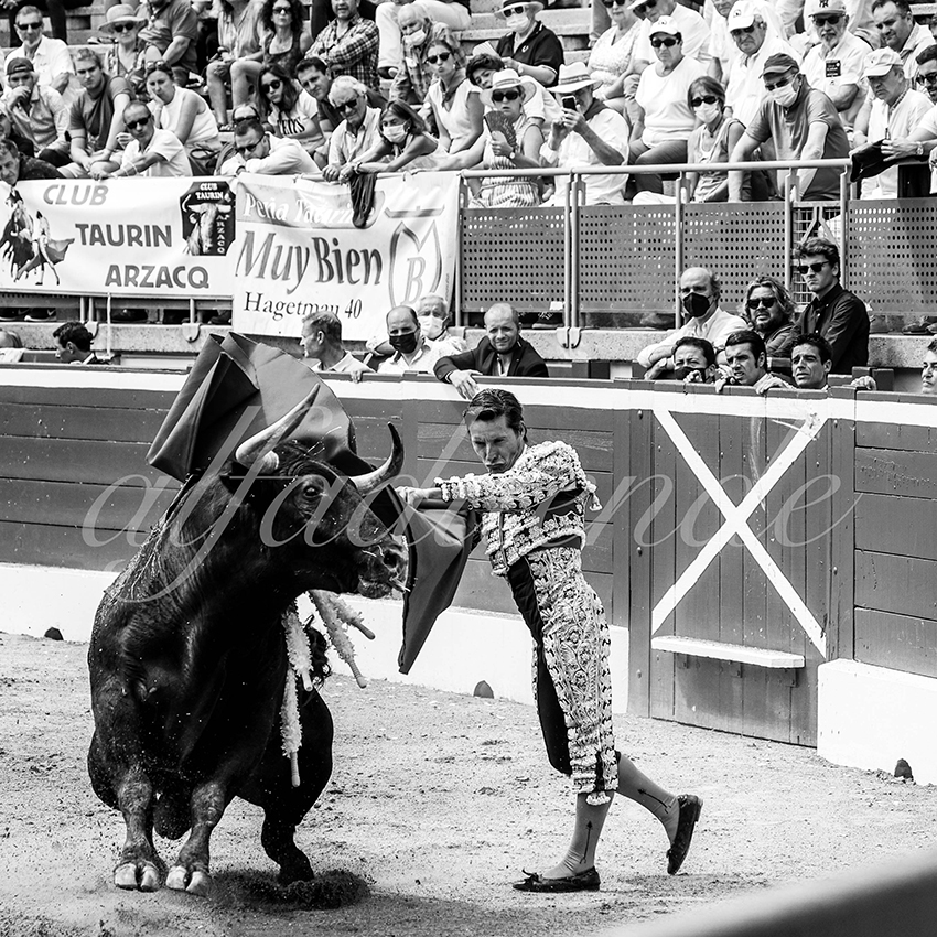 20210724 manana mt de marsan alfaduende 002