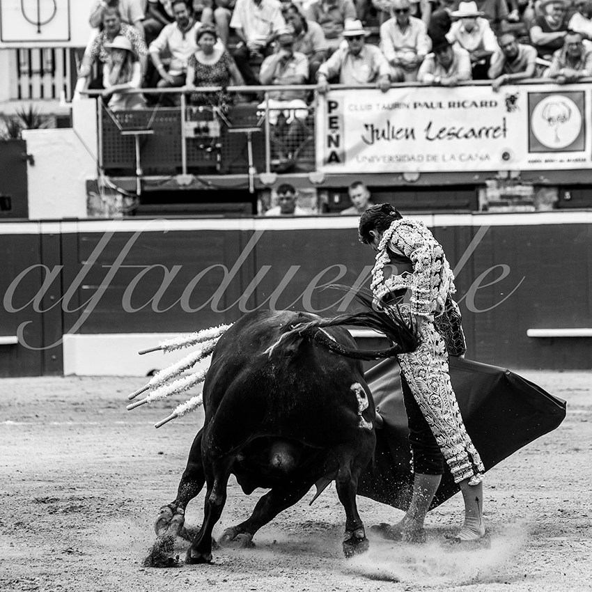 20210724 manana mt de marsan alfaduende 004