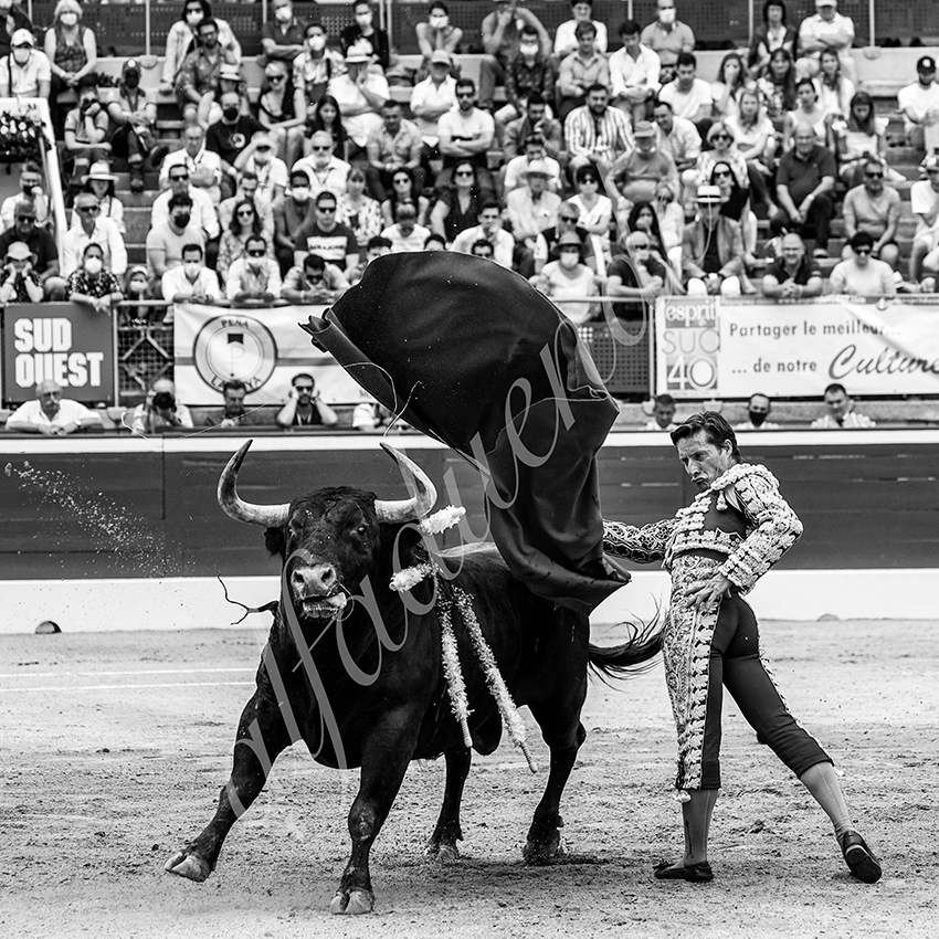 20210724 manana mt de marsan alfaduende 006