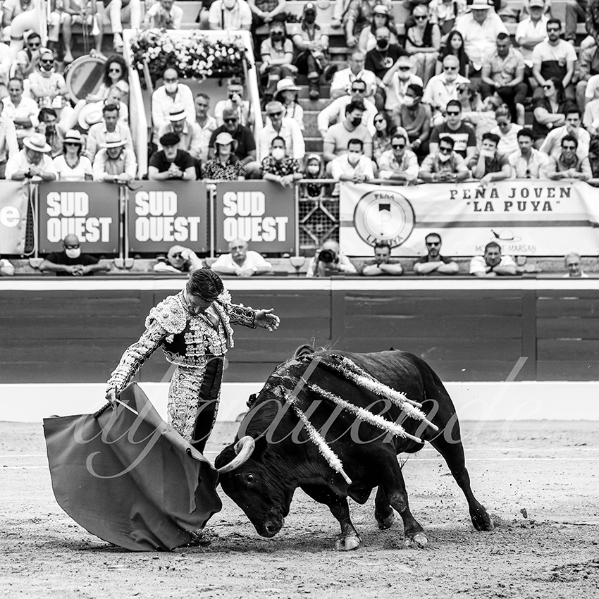 20210724 manana mt de marsan alfaduende 007