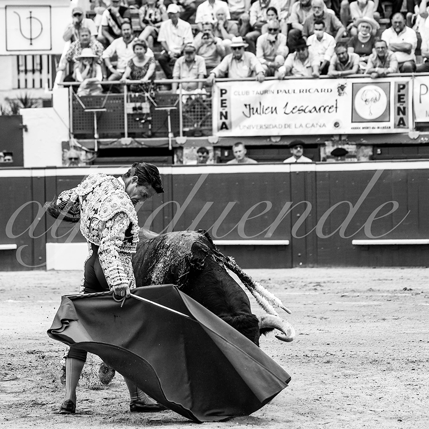 20210724 manana mt de marsan alfaduende 008