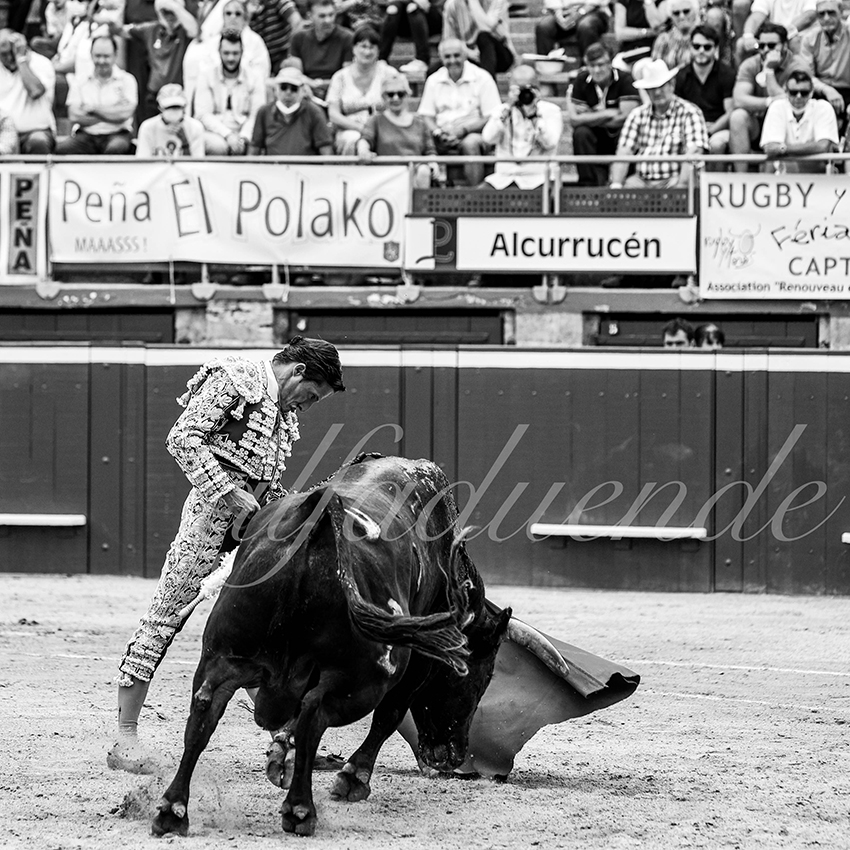 20210724 manana mt de marsan alfaduende 009