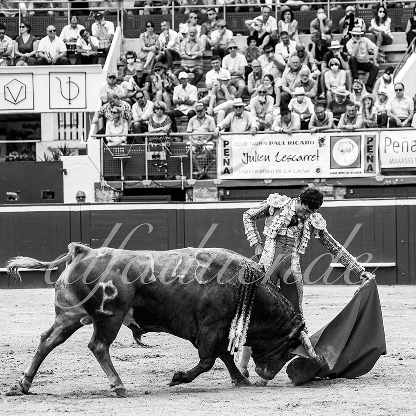 20210724 manana mt de marsan alfaduende 012