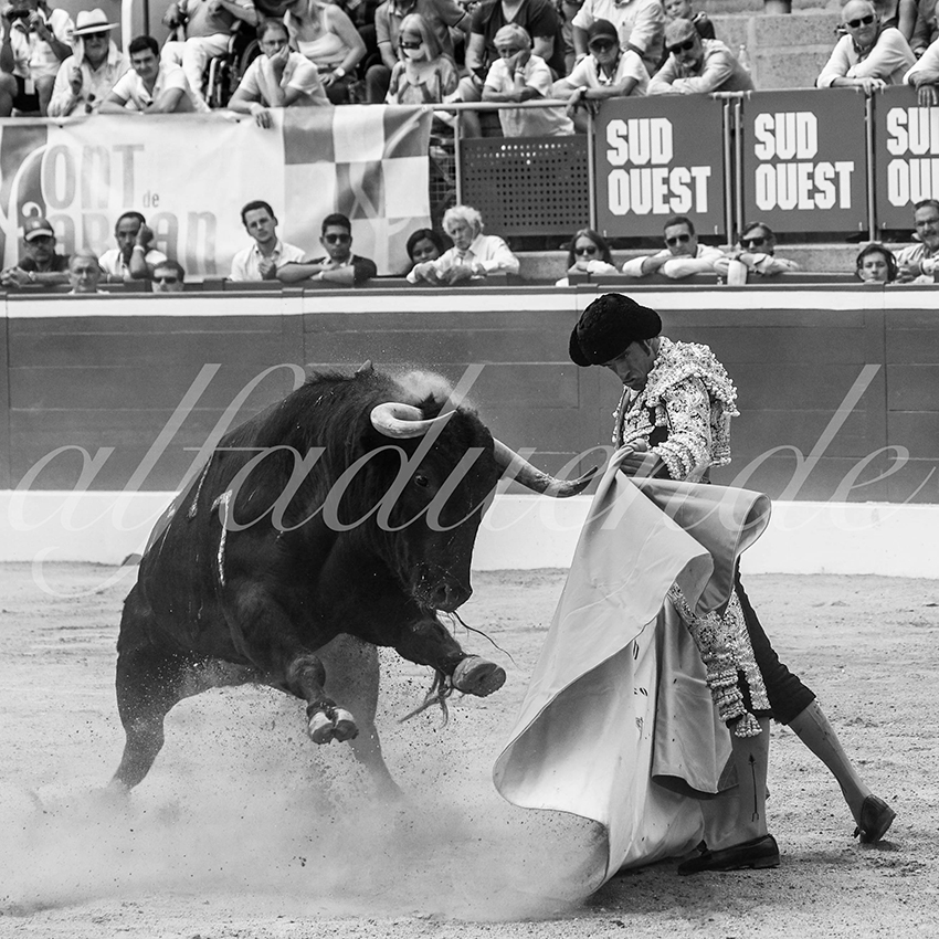 20210724 manana mt de marsan alfaduende 013