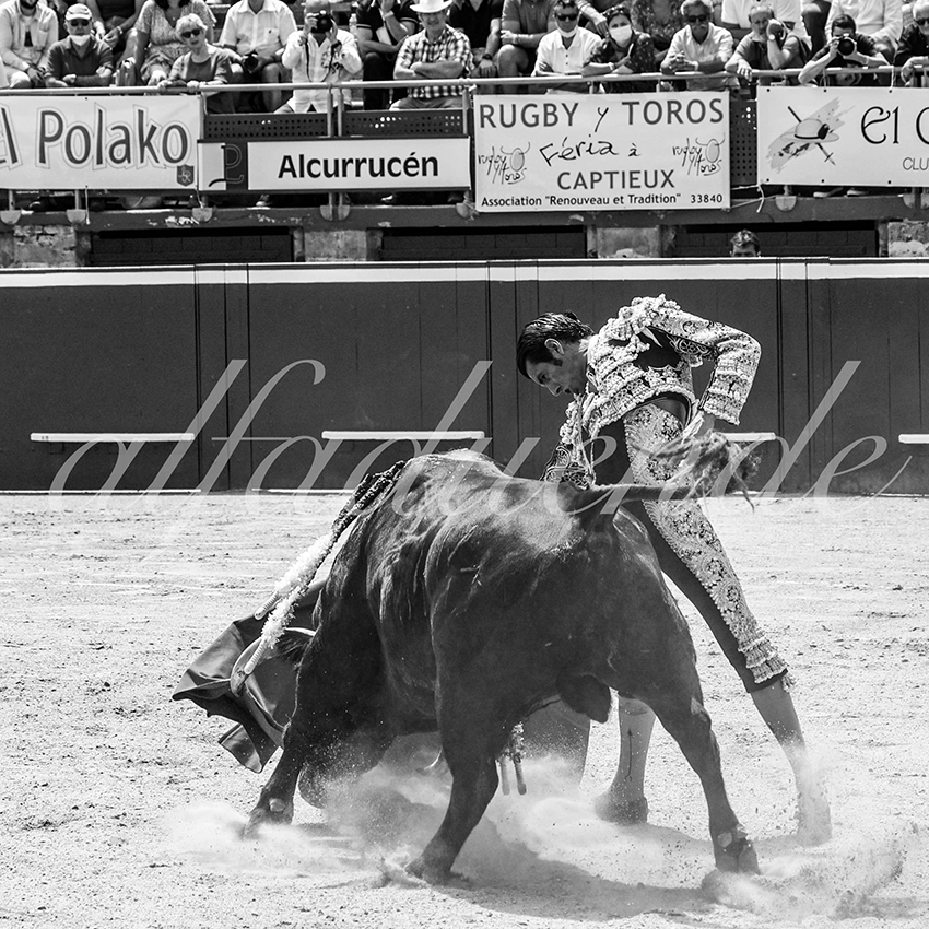 20210724 manana mt de marsan alfaduende 014