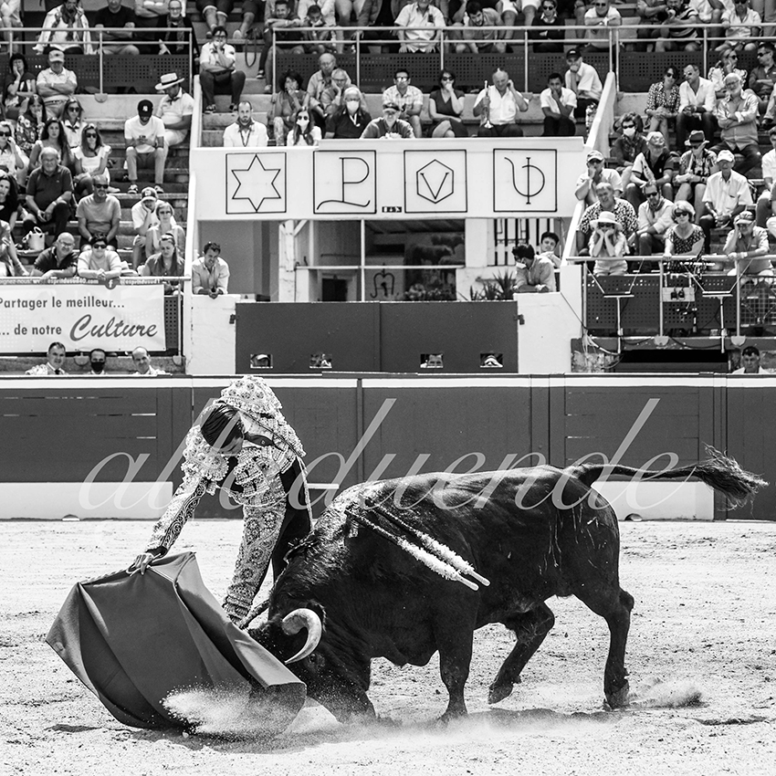 20210724 manana mt de marsan alfaduende 015