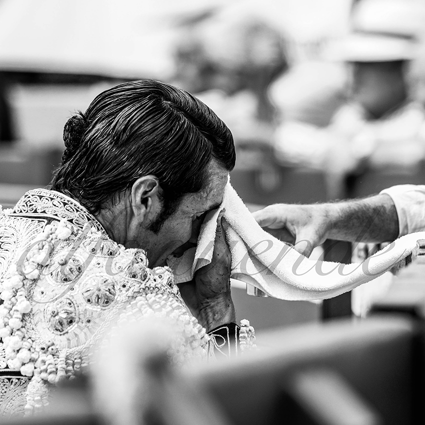 20210724 manana mt de marsan alfaduende 016