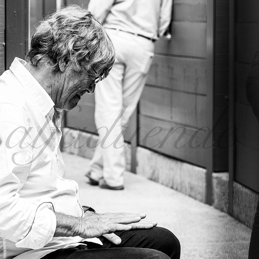 20210724 manana mt de marsan alfaduende 017