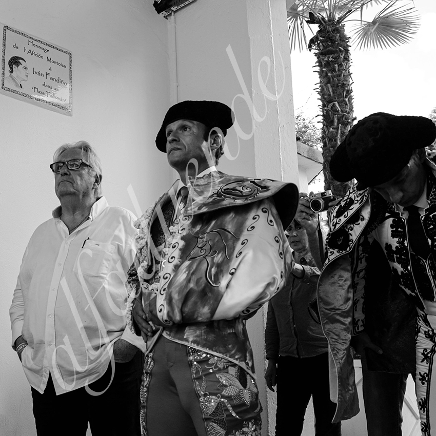 20210724 tarde mt de marsan alfaduende 002