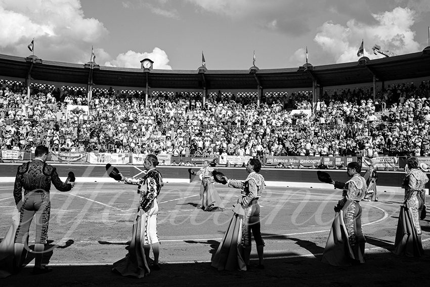 20210724 tarde mt de marsan alfaduende 003