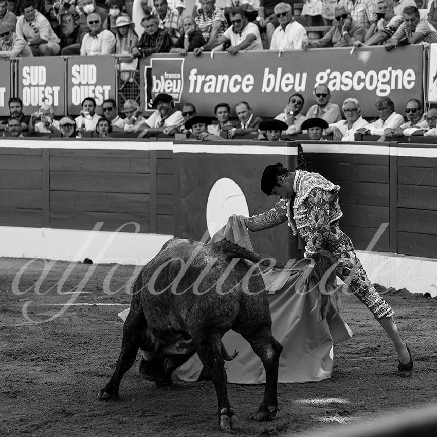 20210724 tarde mt de marsan alfaduende 006