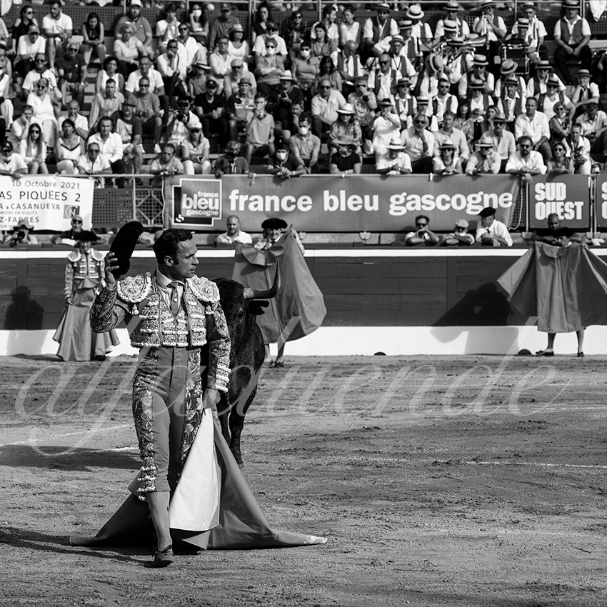 20210724 tarde mt de marsan alfaduende 007