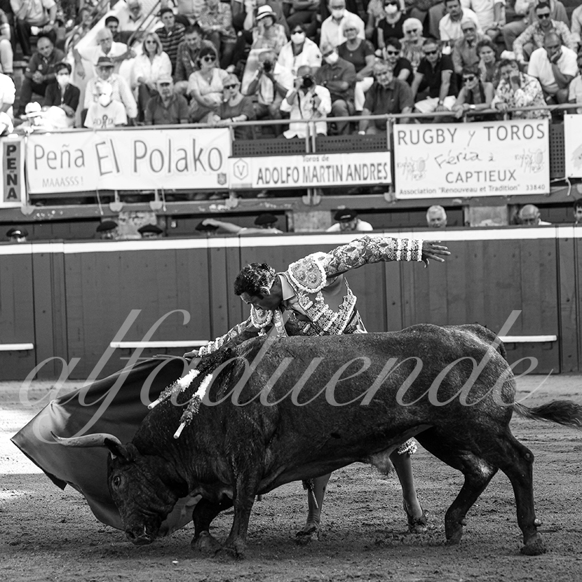 20210724 tarde mt de marsan alfaduende 008