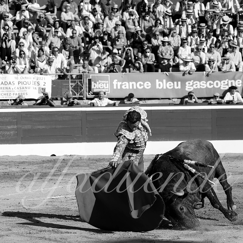 20210724 tarde mt de marsan alfaduende 009