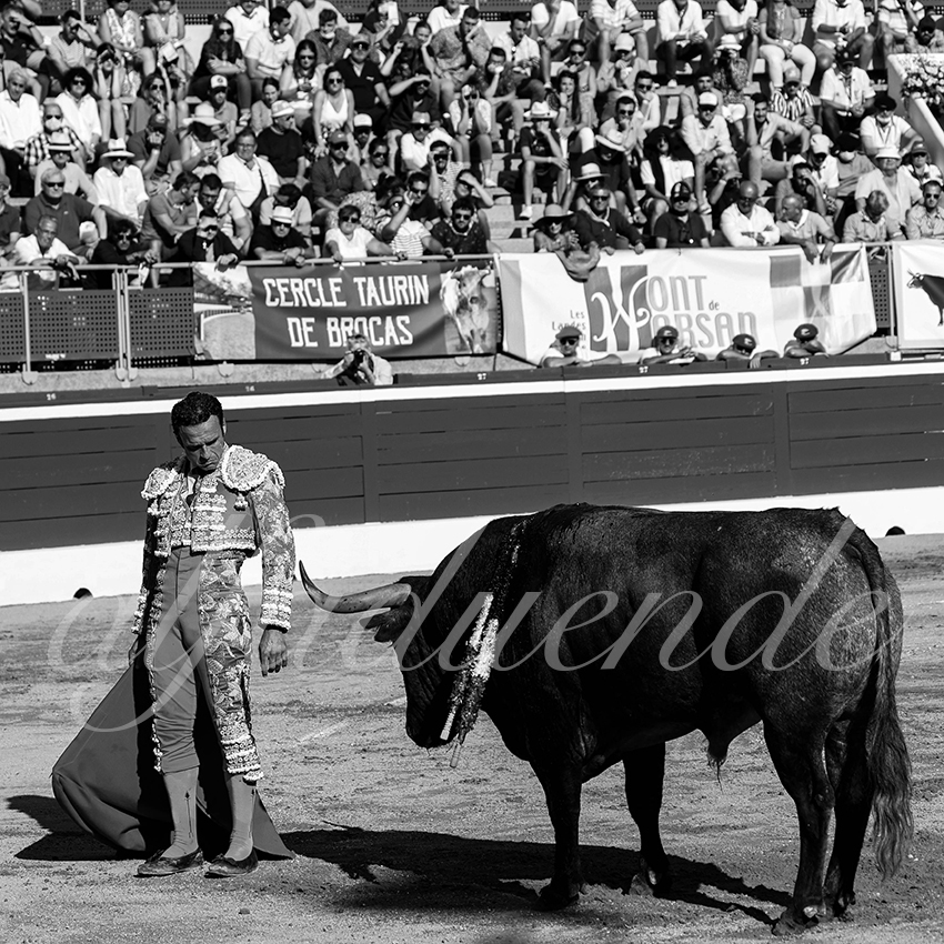 20210724 tarde mt de marsan alfaduende 010