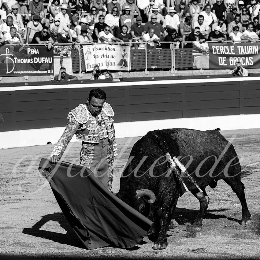 20210724 tarde mt de marsan alfaduende 011