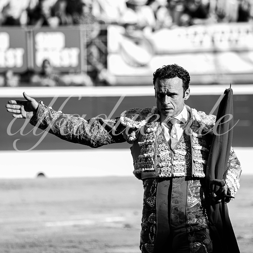 20210724 tarde mt de marsan alfaduende 012