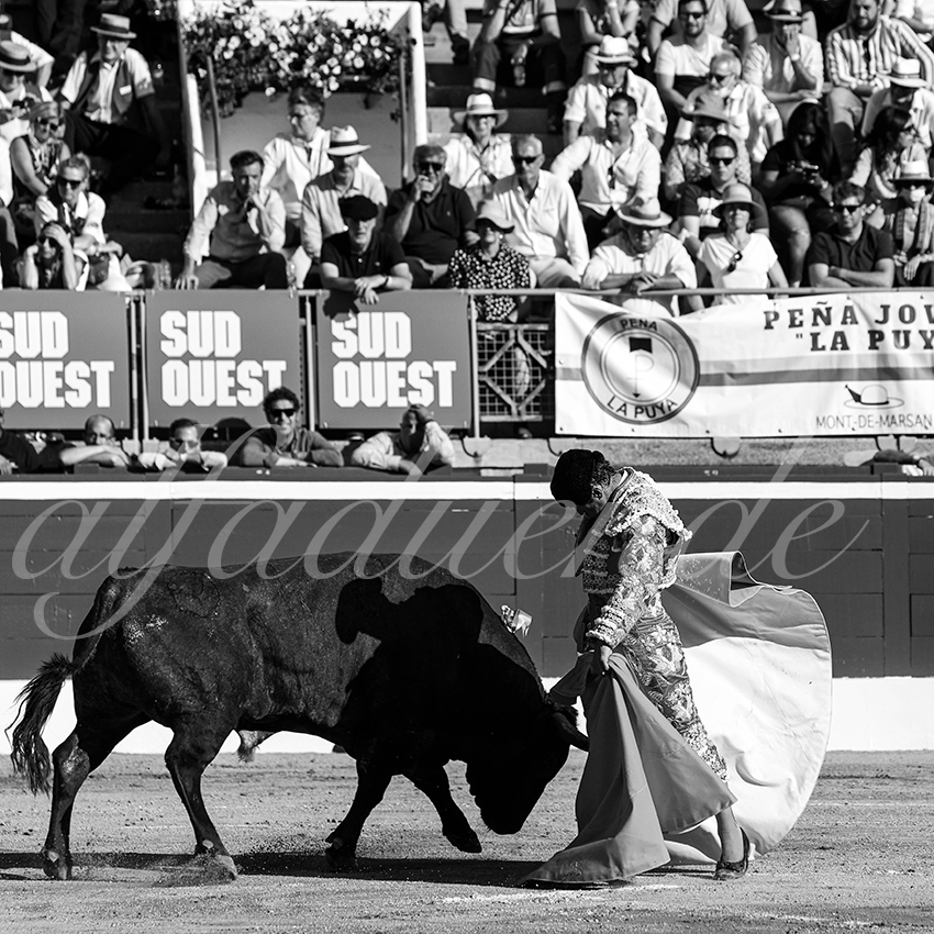 20210724 tarde mt de marsan alfaduende 013