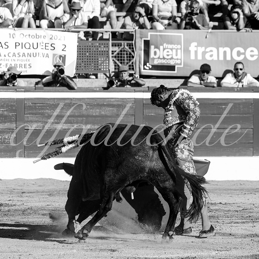 20210724 tarde mt de marsan alfaduende 014