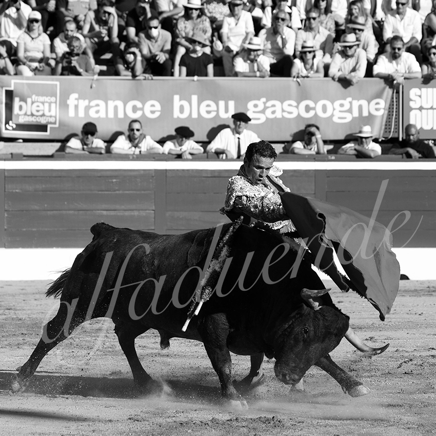 20210724 tarde mt de marsan alfaduende 015