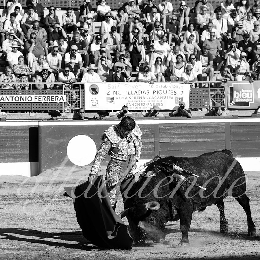 20210724 tarde mt de marsan alfaduende 016