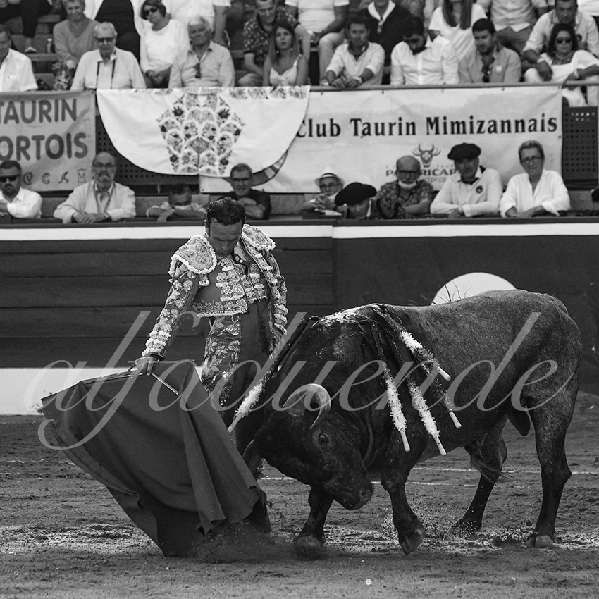 20210724 tarde mt de marsan alfaduende 017