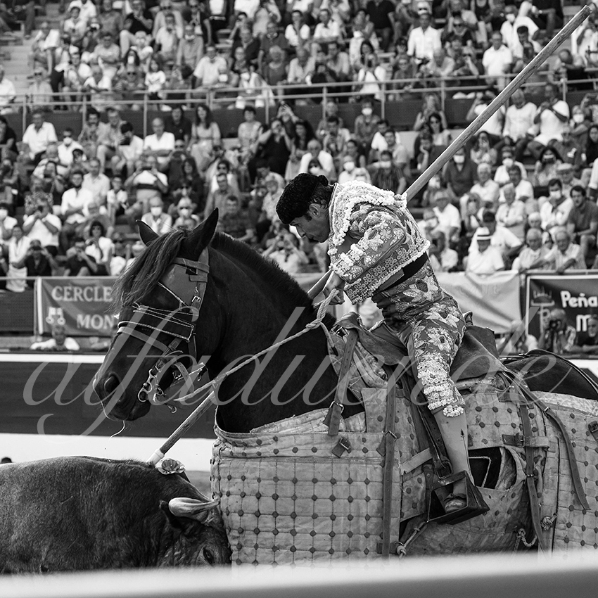 20210724 tarde mt de marsan alfaduende 019