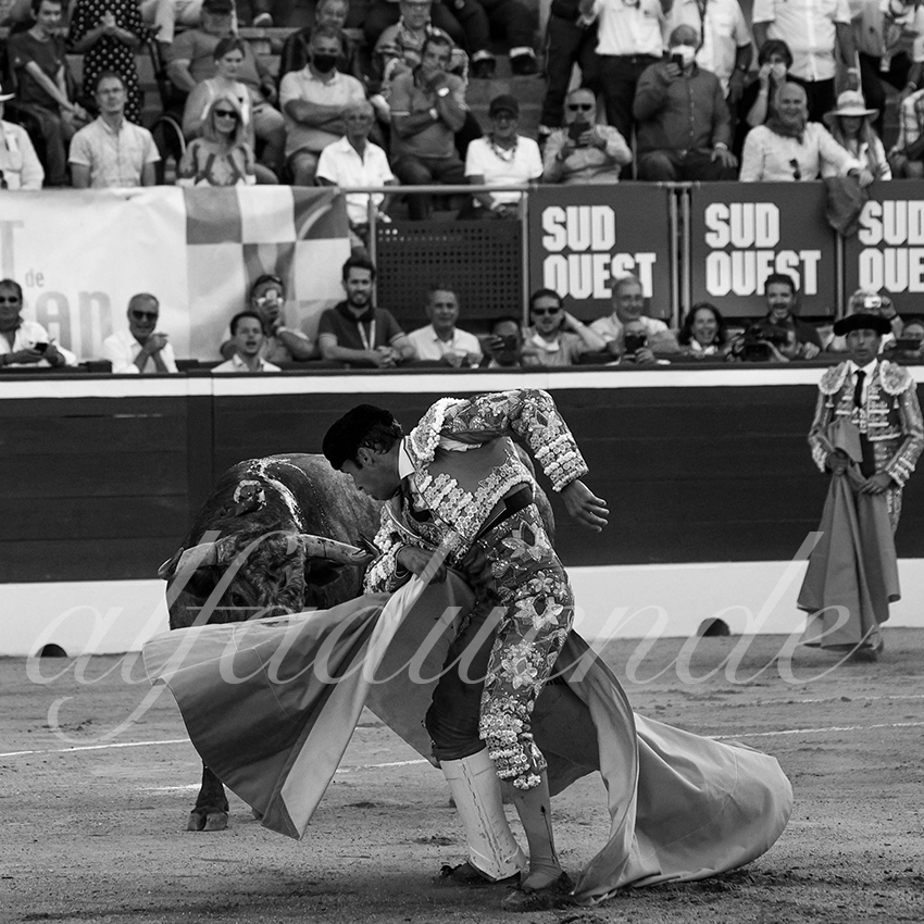 20210724 tarde mt de marsan alfaduende 020