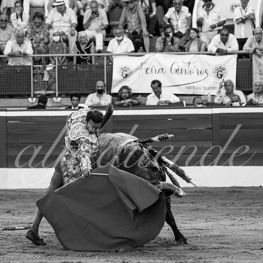 20210724 tarde mt de marsan alfaduende 021